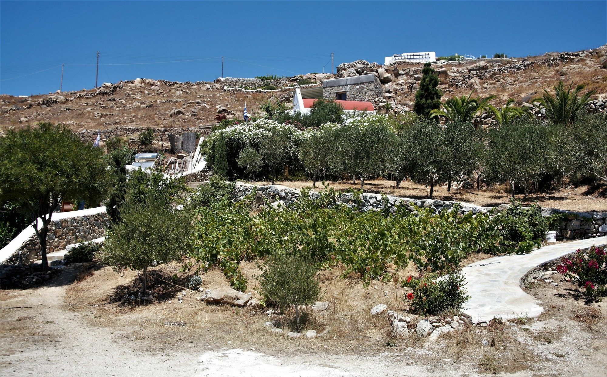 Mykonos Moussa Villa Agios Ioannis Diakoftis Exterior foto